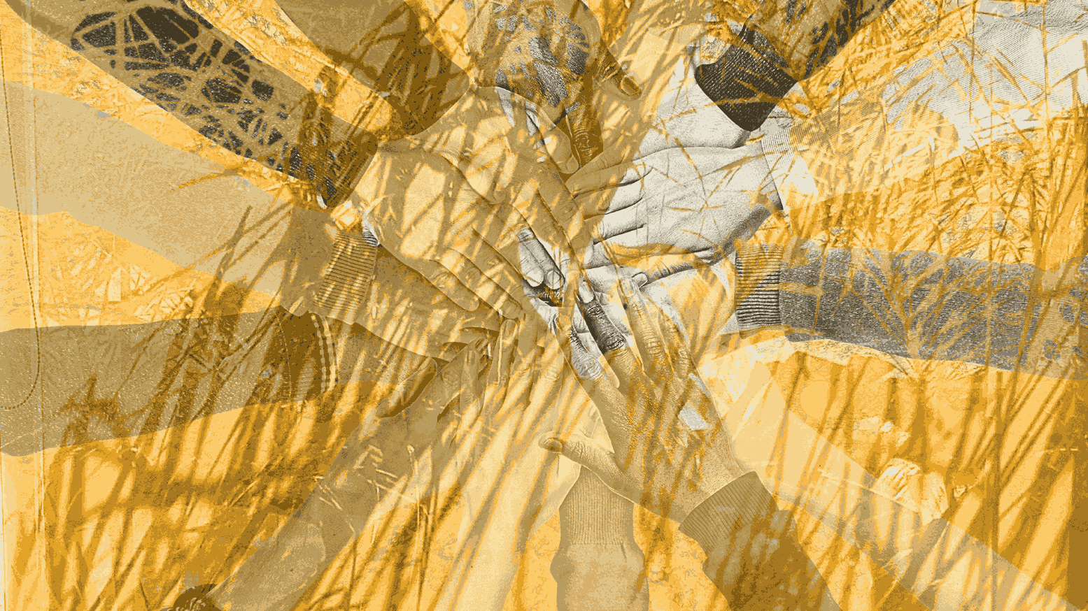 Multiple hands reaching in together, overlaid with golden sunlight and dried grasses — symbolising connection, collective growth, and the layered nature of creative process.
